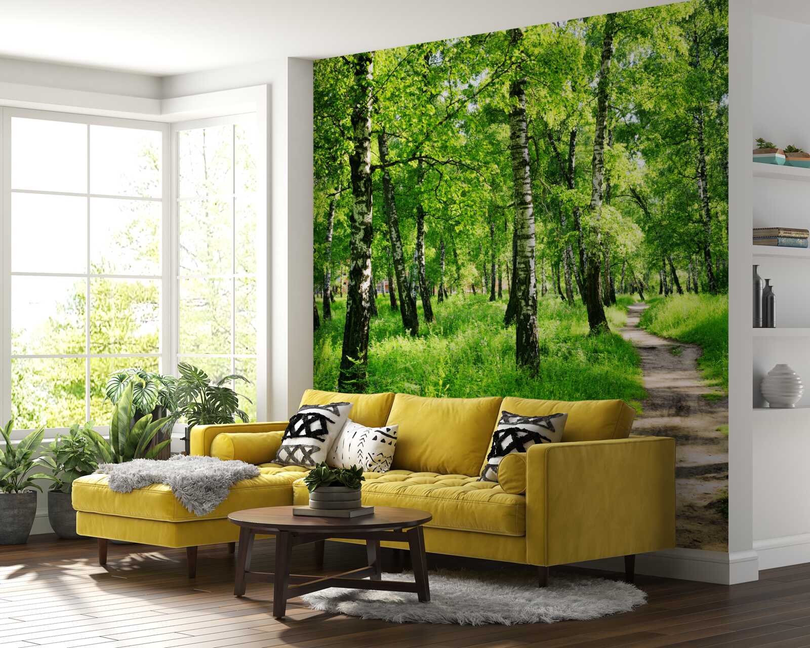 Papier peint Chemin à travers un bosquet de bouleaux