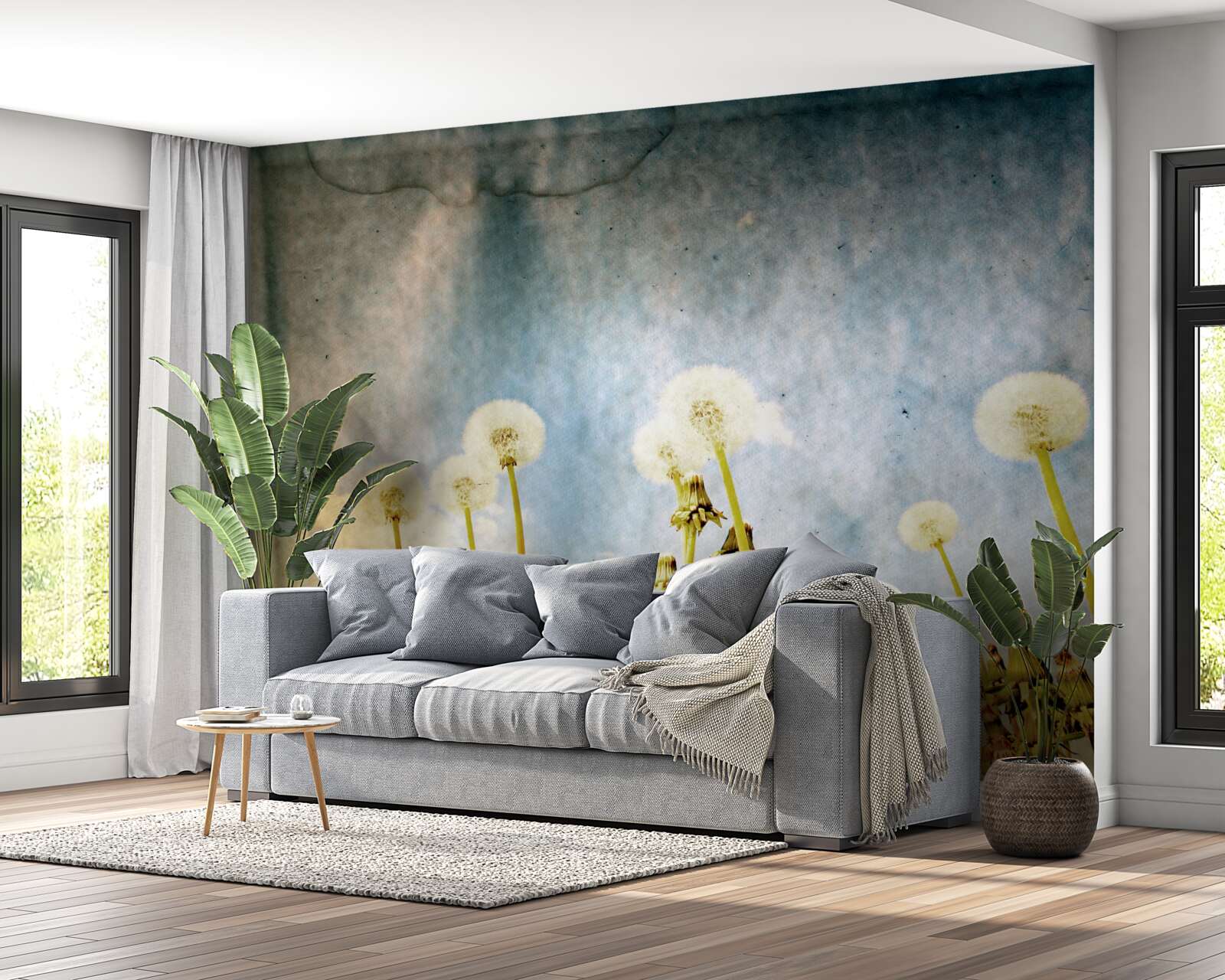 Papier peint le coucher de soleil est salué par de gracieux pissenlits