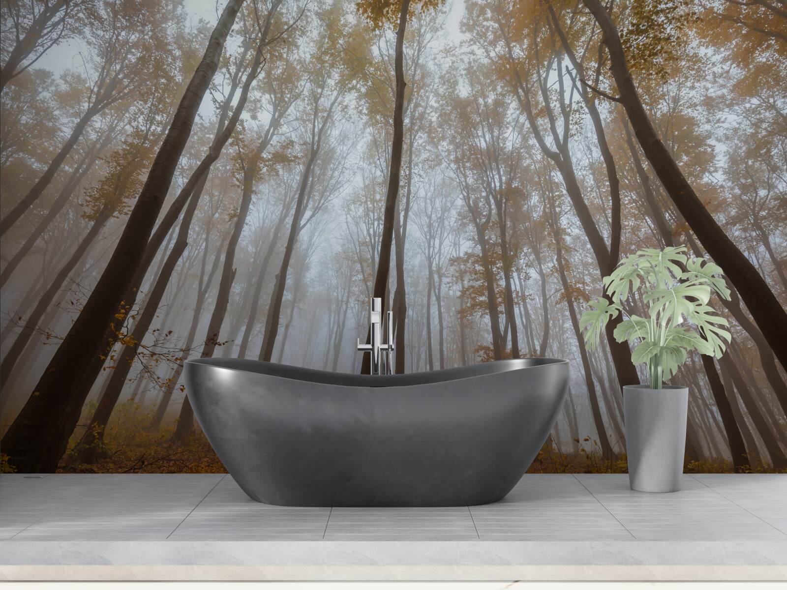 Papier peint les grands arbres élancés en automne