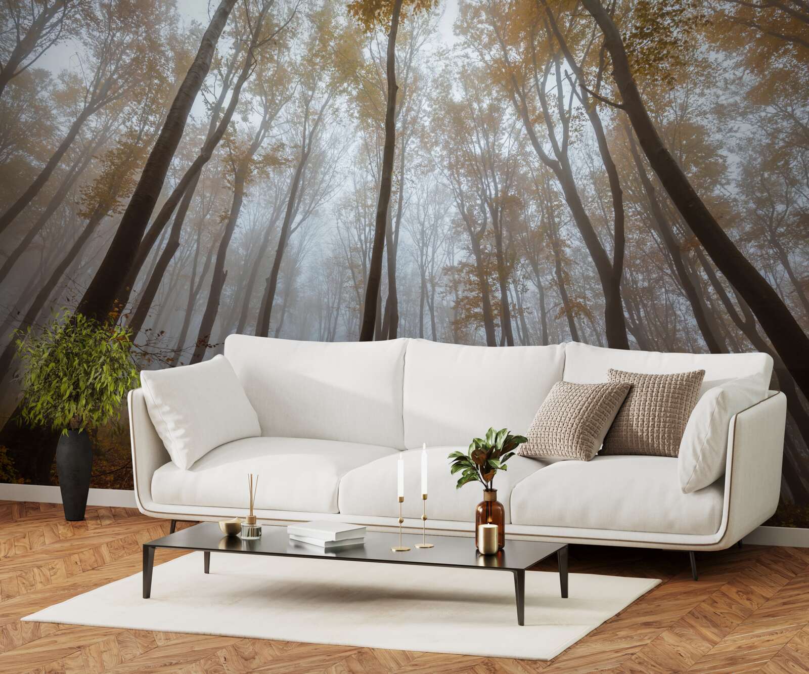 Papier peint les grands arbres élancés en automne