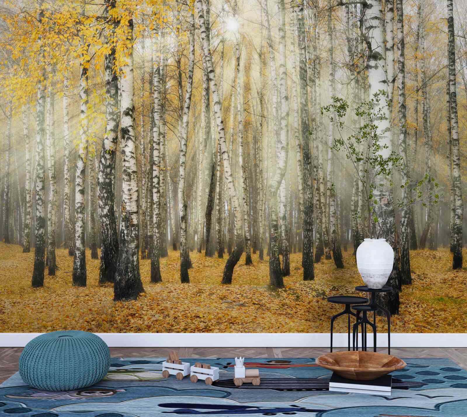 Papier peint Feuilles de bouleau tombées dans une forêt d'automne