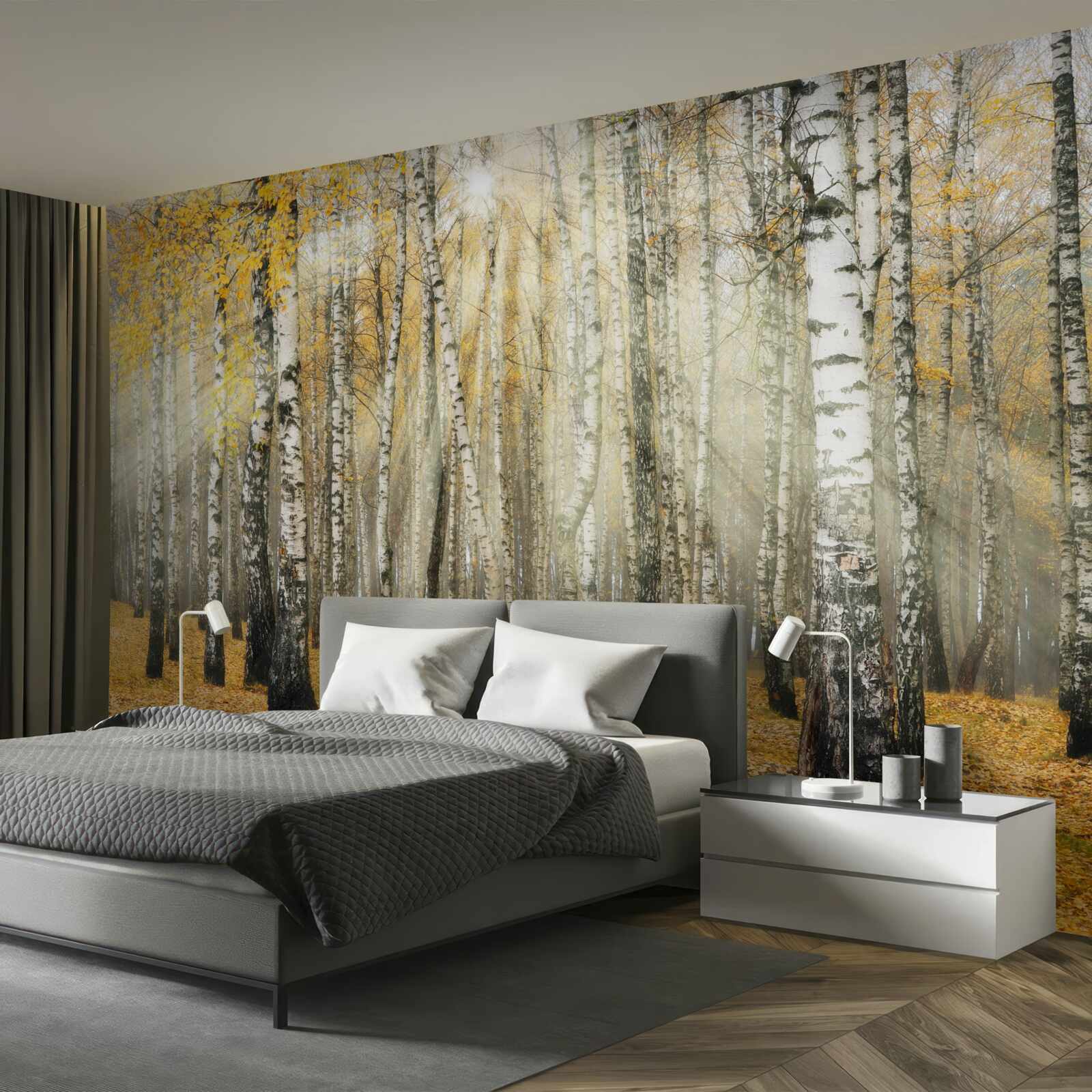 Papier peint Feuilles de bouleau tombées dans une forêt d'automne