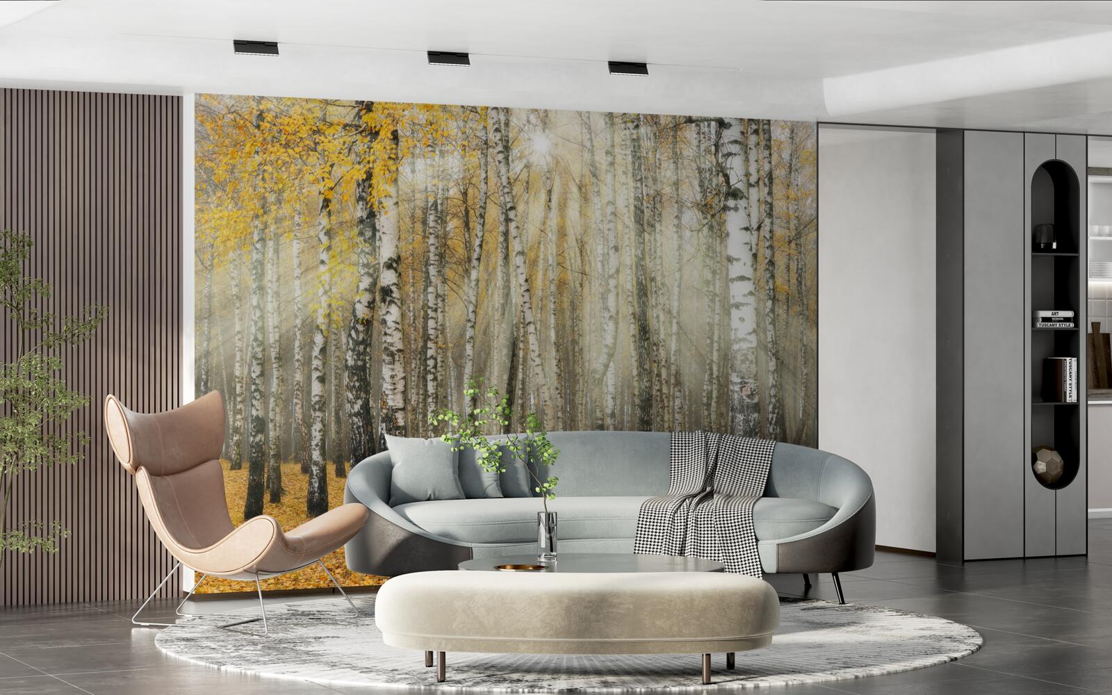 Papier peint Feuilles de bouleau tombées dans une forêt d'automne