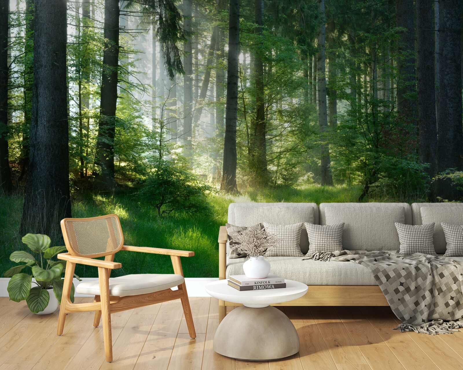 Papier peint une matinée dans la forêt, entourée de verdure