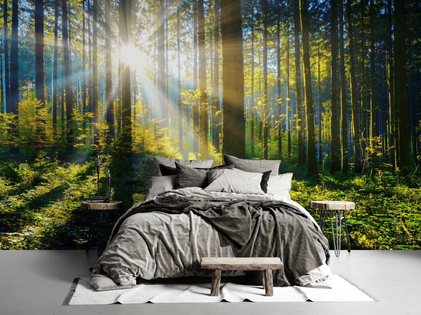 Papier peint une lumière vive réchauffe un maquis sombre