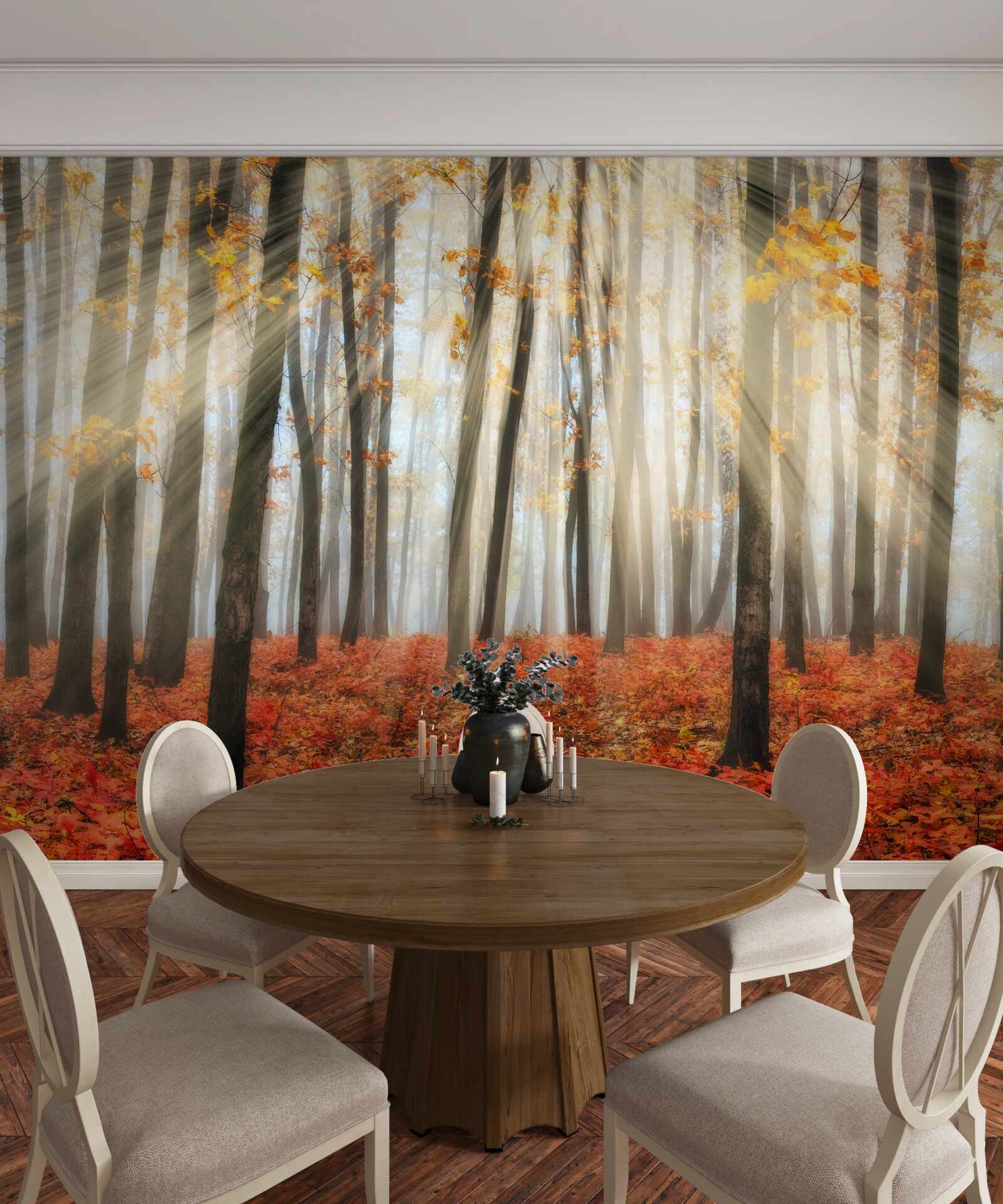 Papier peint le soleil et les gracieux arbres d'automne qui ont perdu leurs feuilles