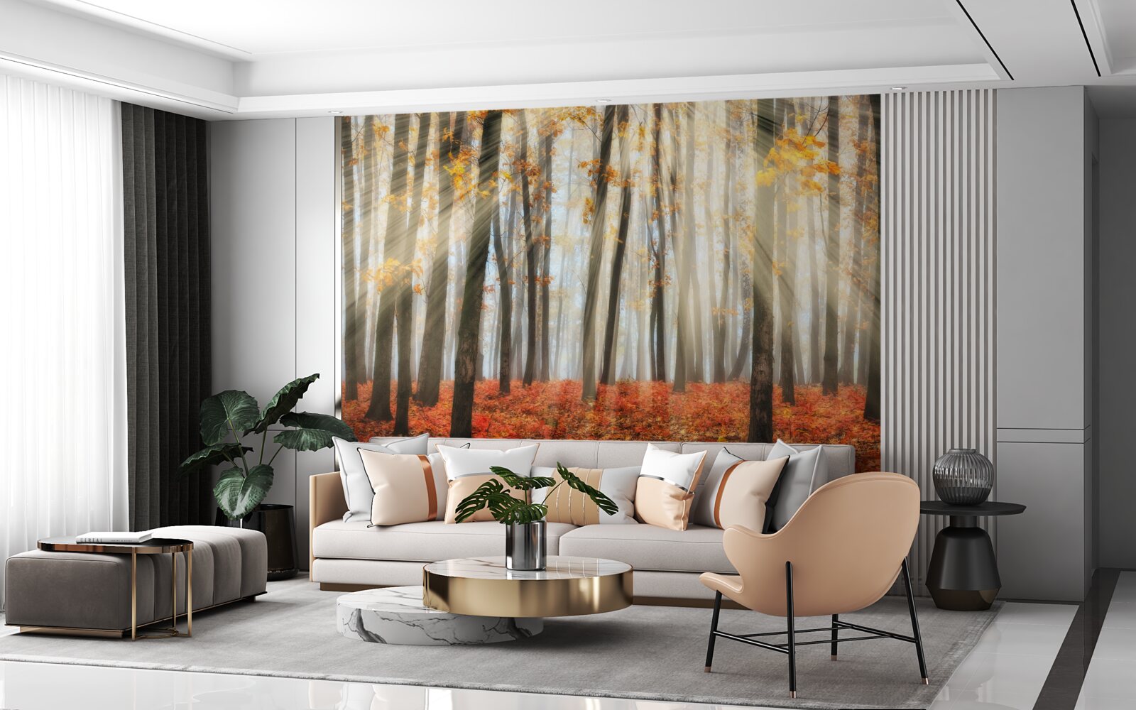 Papier peint le soleil et les gracieux arbres d'automne qui ont perdu leurs feuilles