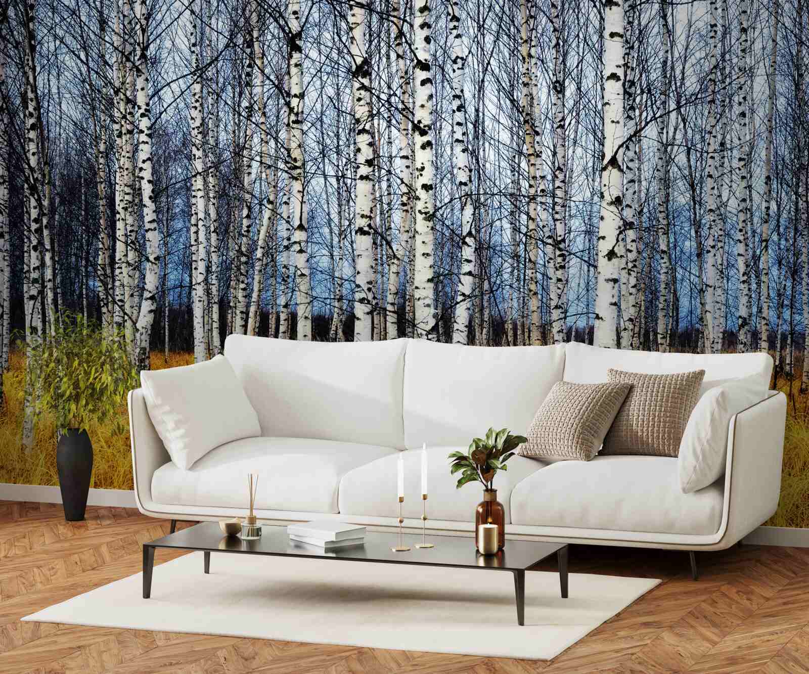 Papier peint feuilles de bouleau tombées sur fond d'herbe forestière jaunissante