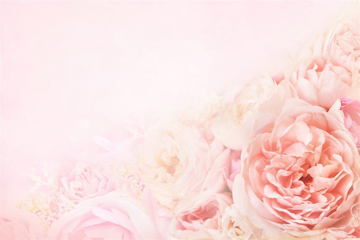 Papier peint fleurs roses fines