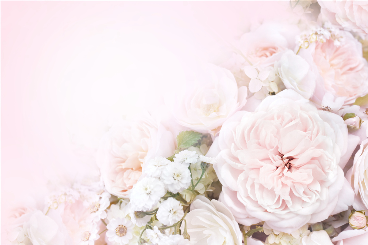 Papier peint le fond lumineux est décoré de fleurs délicates