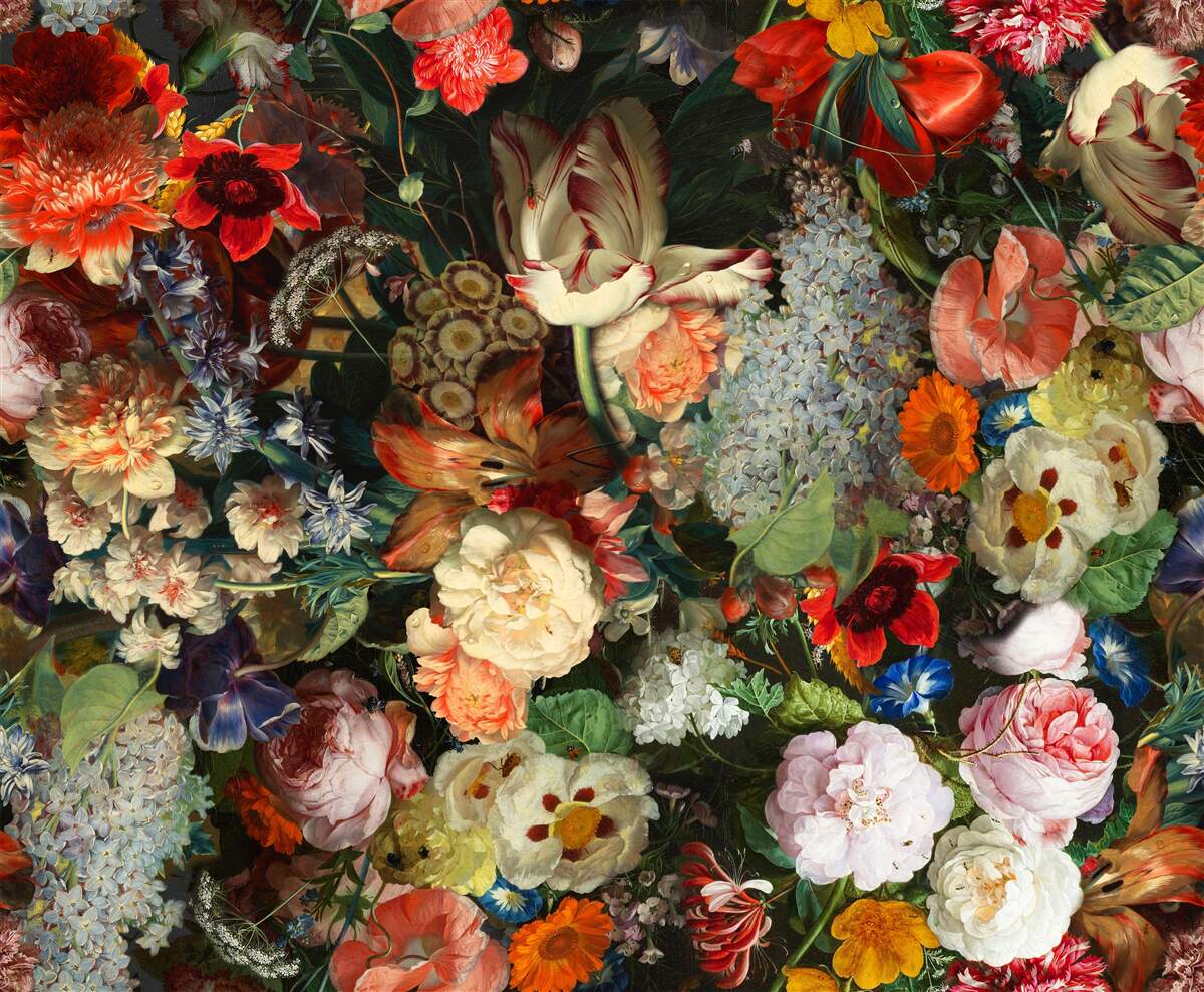 Papier peint Fleurs saisonnières vivantes en pleine floraison estivale