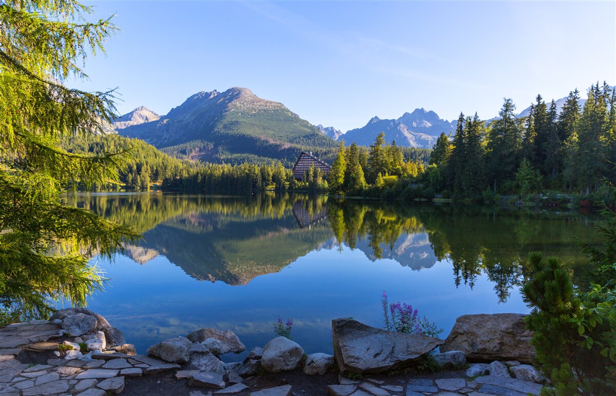 Papier peint une journée ensoleillée au bord d'une rivière de montagne calme