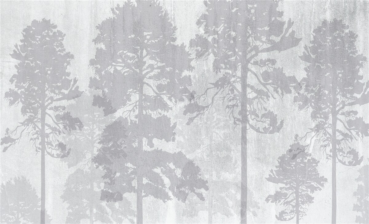 Papier peint Les contours brumeux des arbres de la forêt à l'orée paraissent élancés