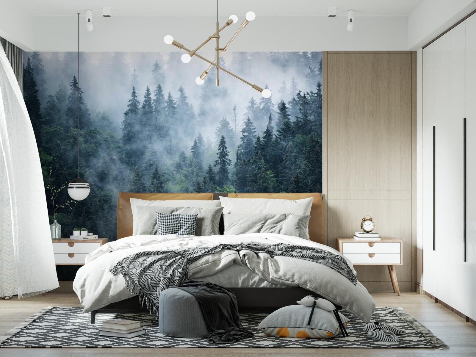 Papier peint la brume s'abat sur un bosquet d'épicéas