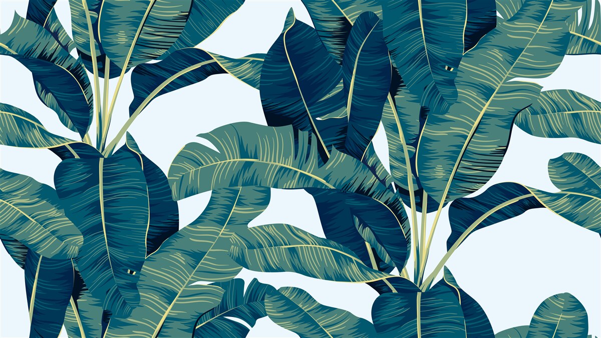 Papier peint des feuilles de fougères vertes foncées entrecoupées de