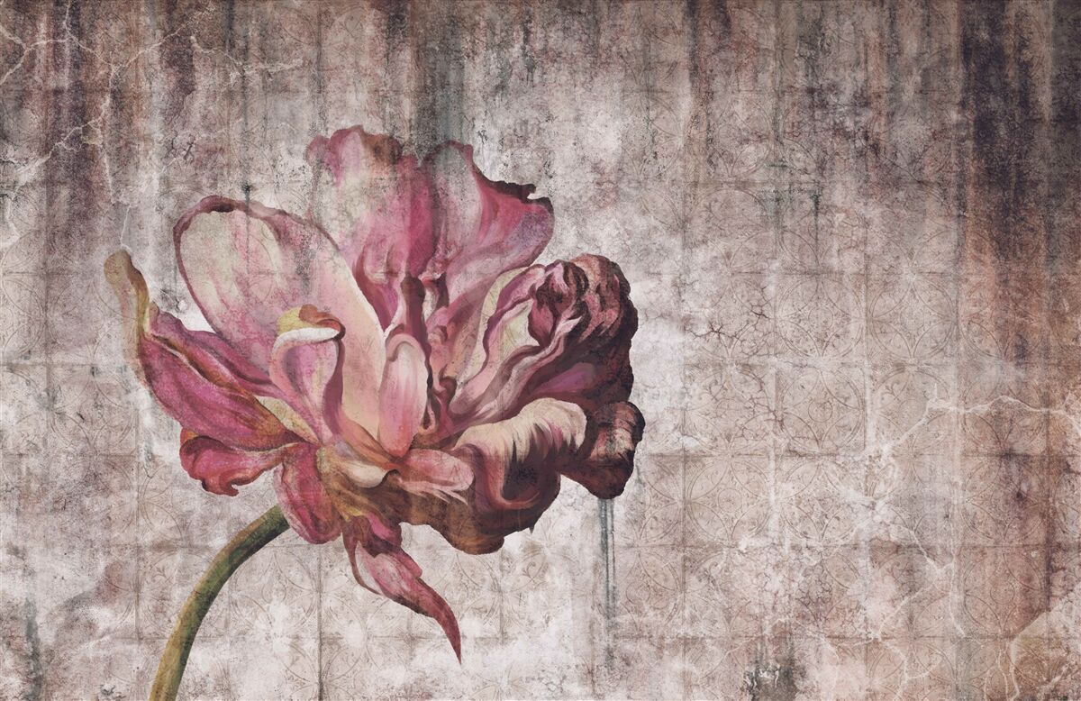 Papier peint une fleur écarlate solitaire sous une pluie battante