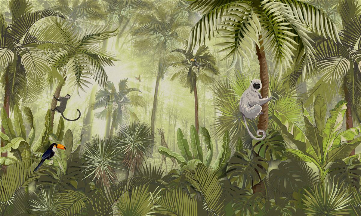 Papier peint brouillard matinal dans les régions tropicales