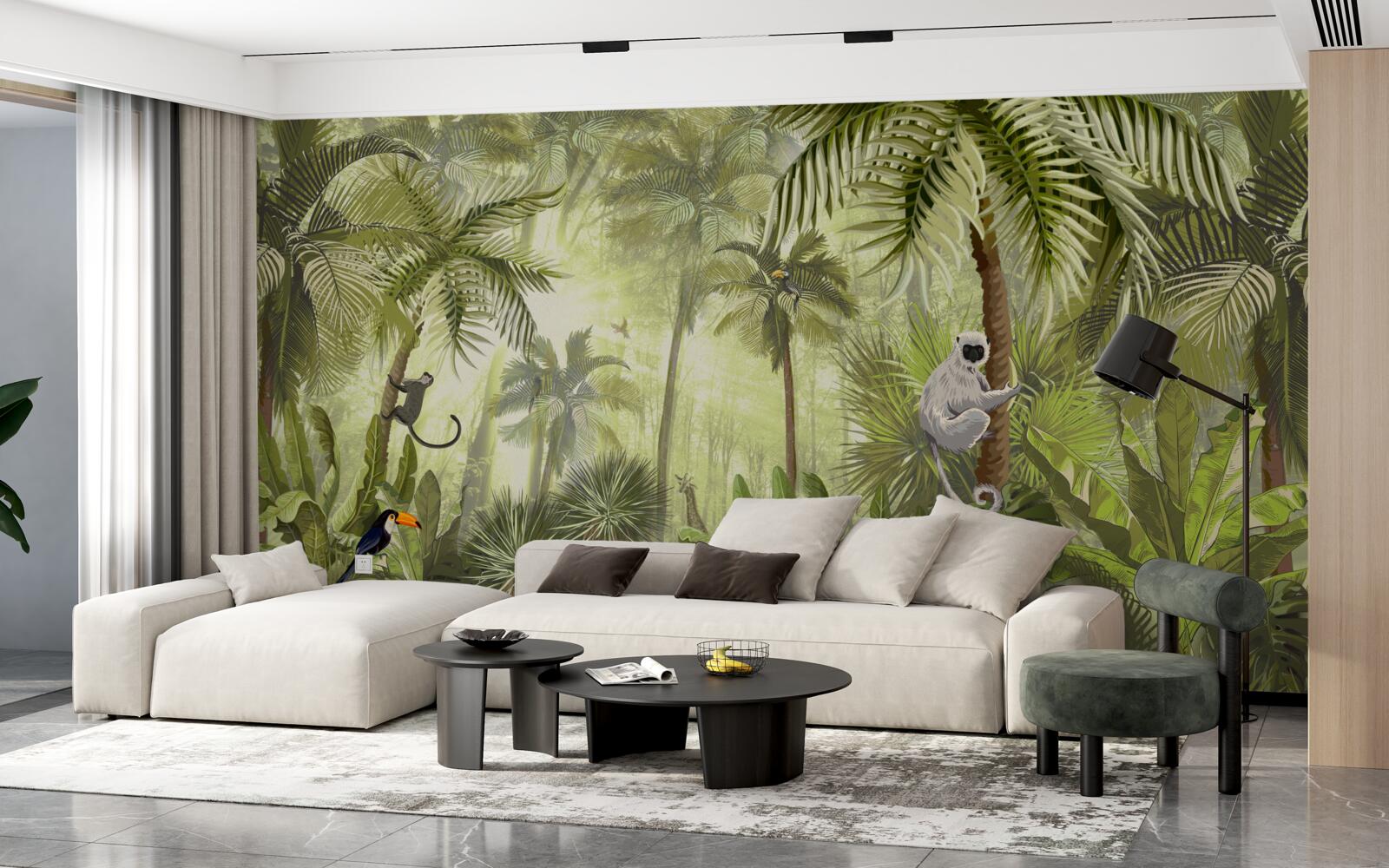 Papier peint brouillard matinal dans les régions tropicales