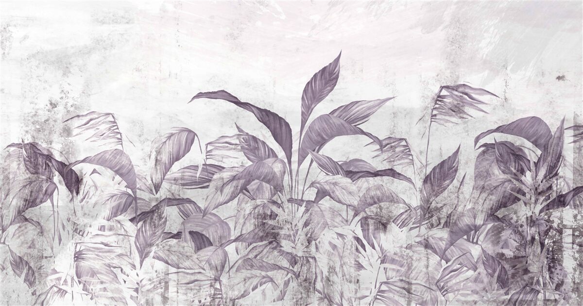 Papier peint la flore et la végétation tropicales lors de fortes pluies