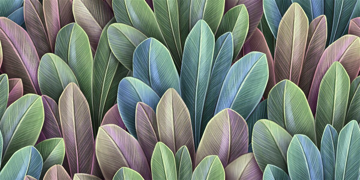 Papier peint les subtilités du spectre des couleurs des feuilles des forêts d'automne