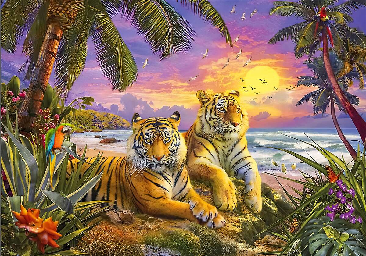 Papier peint deux tigres dans un ciel tropical au crépuscule