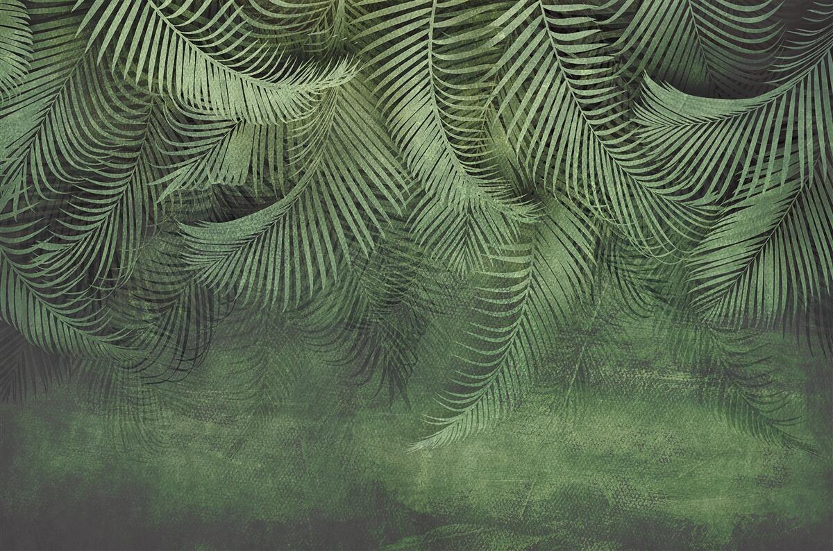 Papier peint les feuilles du palmier du soir sont épaisses