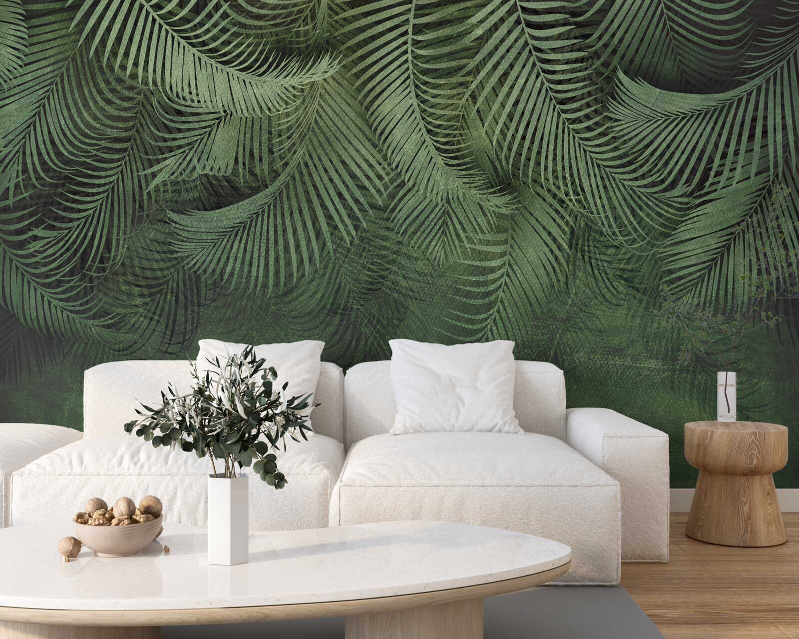 Papier peint les feuilles du palmier du soir sont épaisses