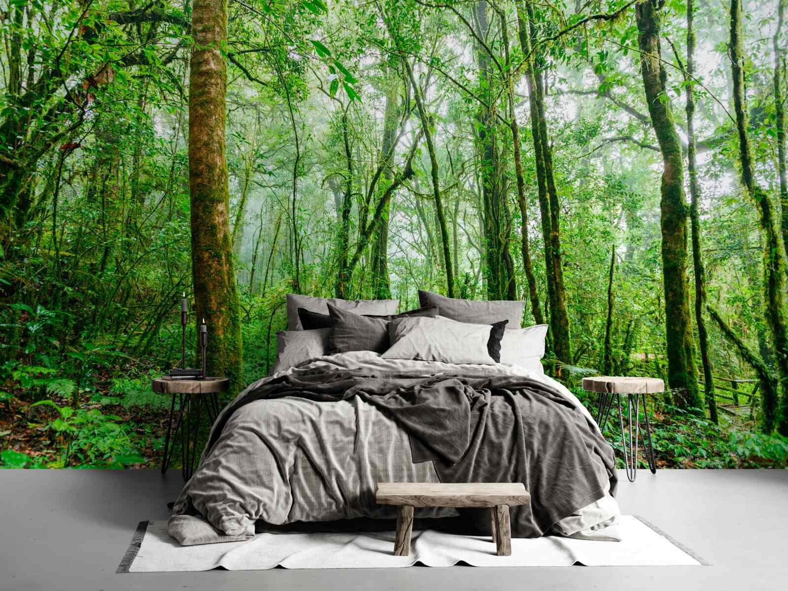 Papier peint la forêt rafraîchie par la pluie est devenue émeraude