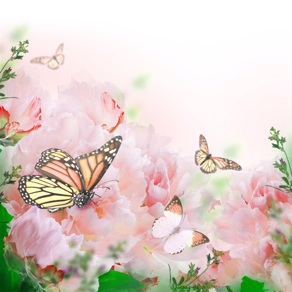 Papier peint groupe de papillons sur fond de fleurs d'été