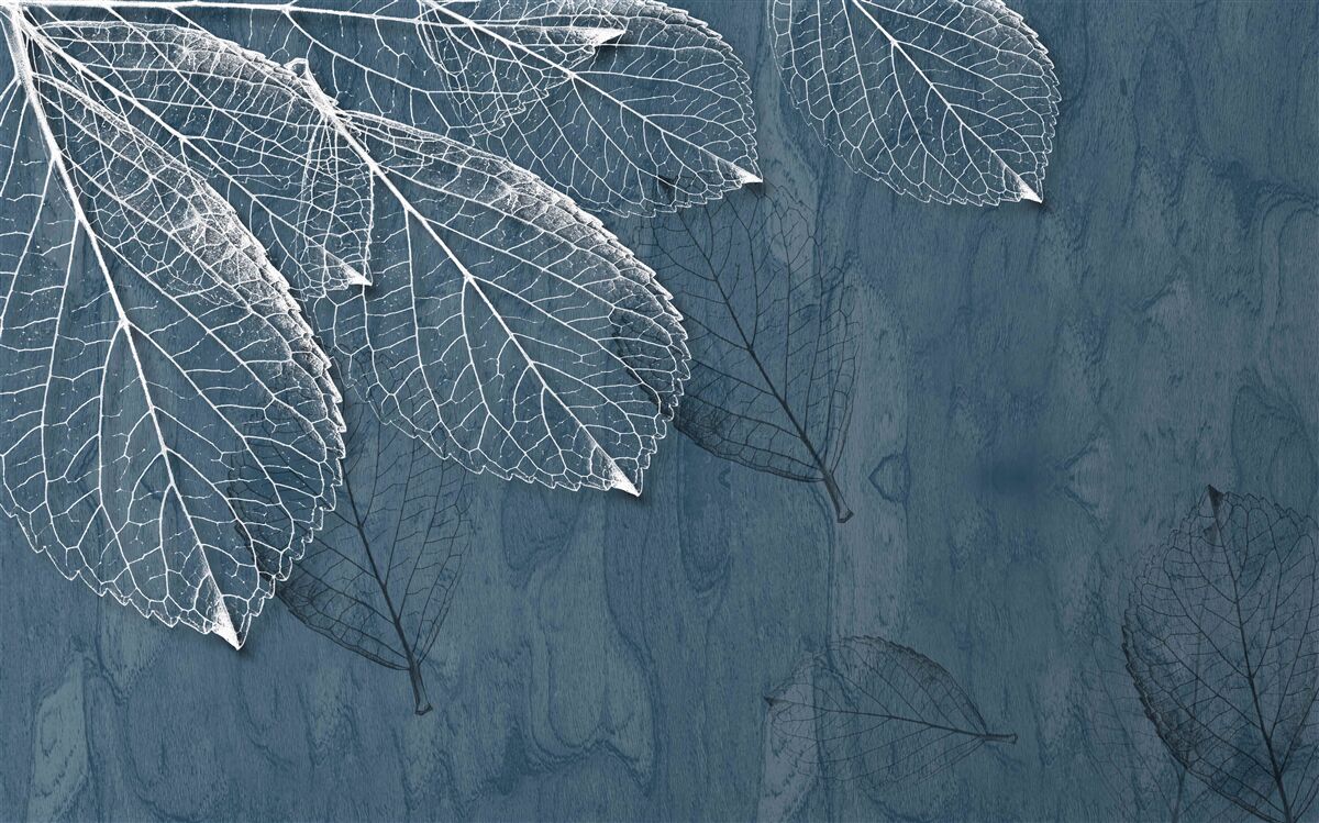 Papier peint les feuilles sont aussi transparentes que les ailes d'un papillon