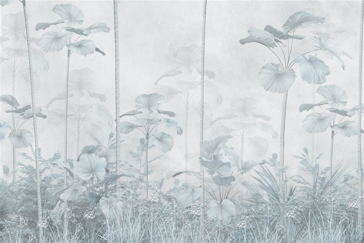 Papier peint brouillard dense dans la région tropicale