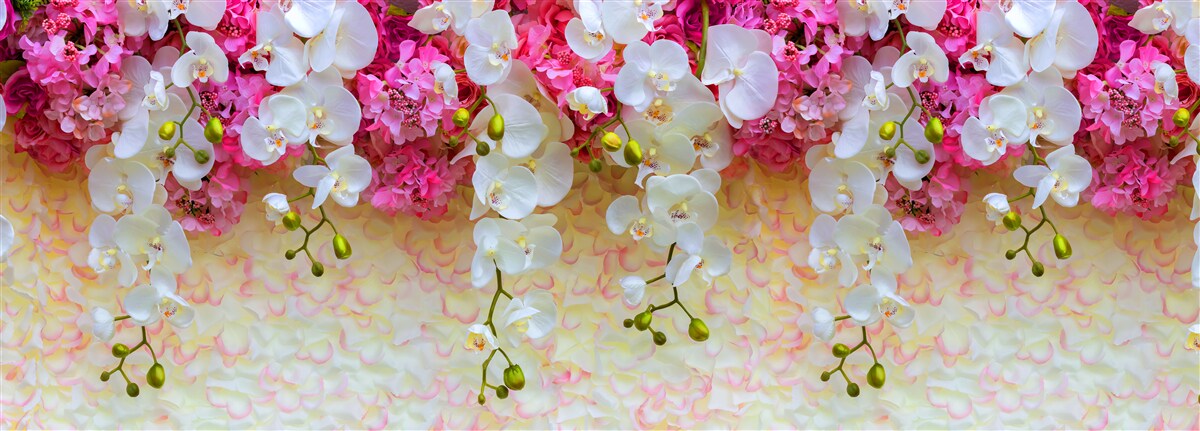 Papier peint les orchidées dont les fleurs tombent