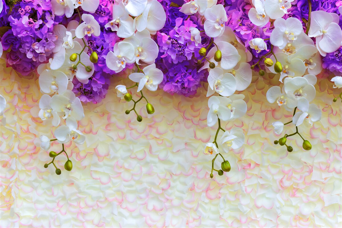Papier peint Orchidées blanches et fleurs de lilas