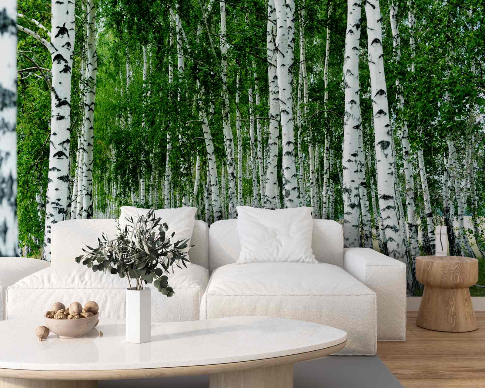 Papier peint bouleaux verts aux troncs gracieux dans un champ ouvert