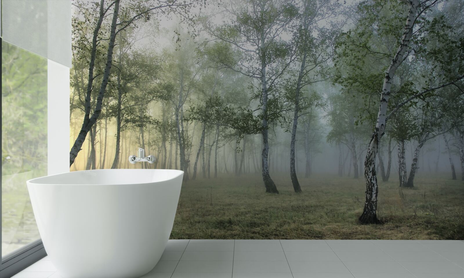 Papier peint les grands bouleaux enveloppés dans la brume du matin