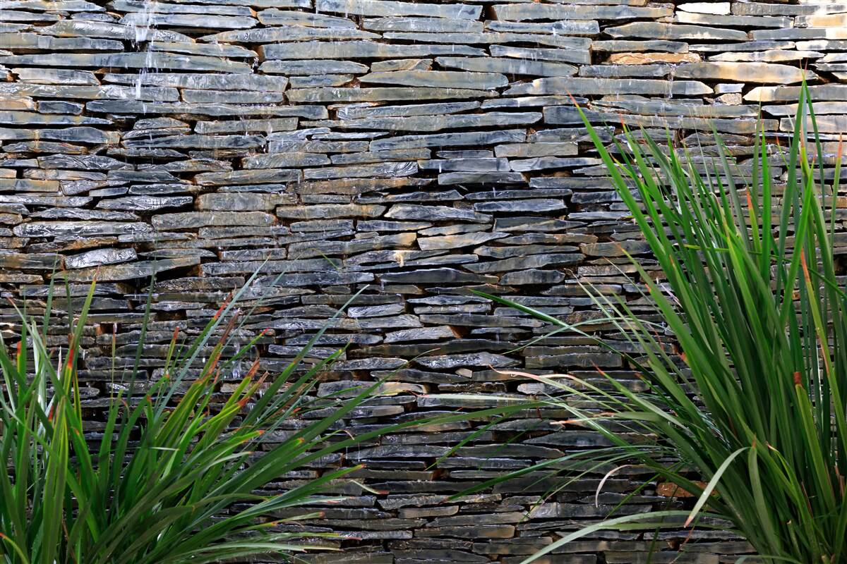 Papier peint végétation verte et mur de pierres