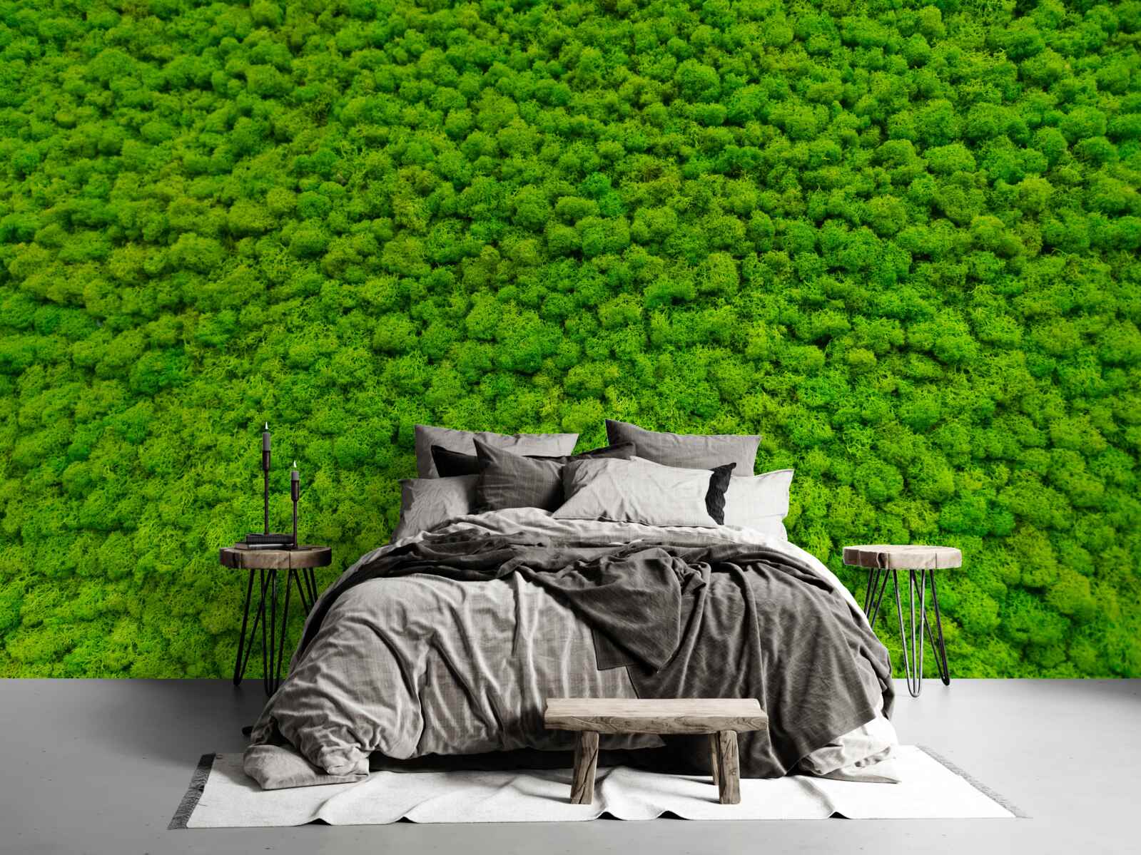 Papier peint vue d'une feuille verte depuis un point élevé