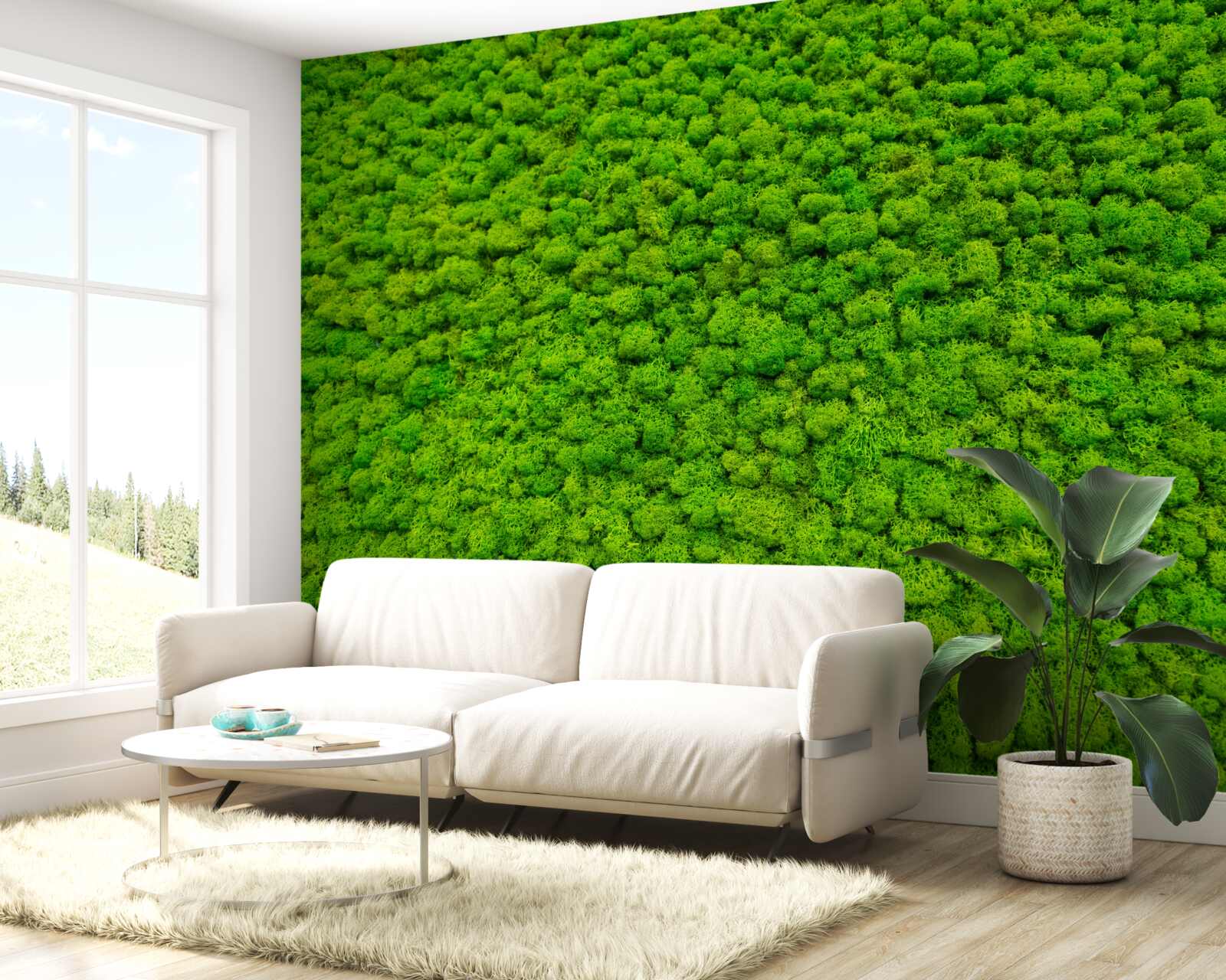 Papier peint vue d'une feuille verte depuis un point élevé