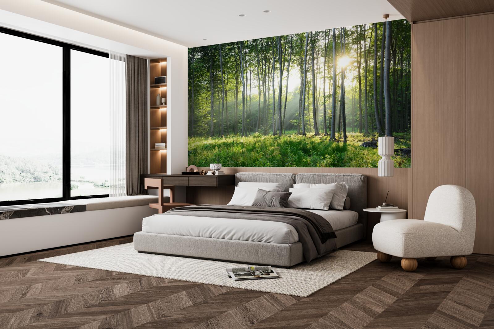 Papier peint un endroit dans la nature avec vue sur le soleil du matin dans la forêt