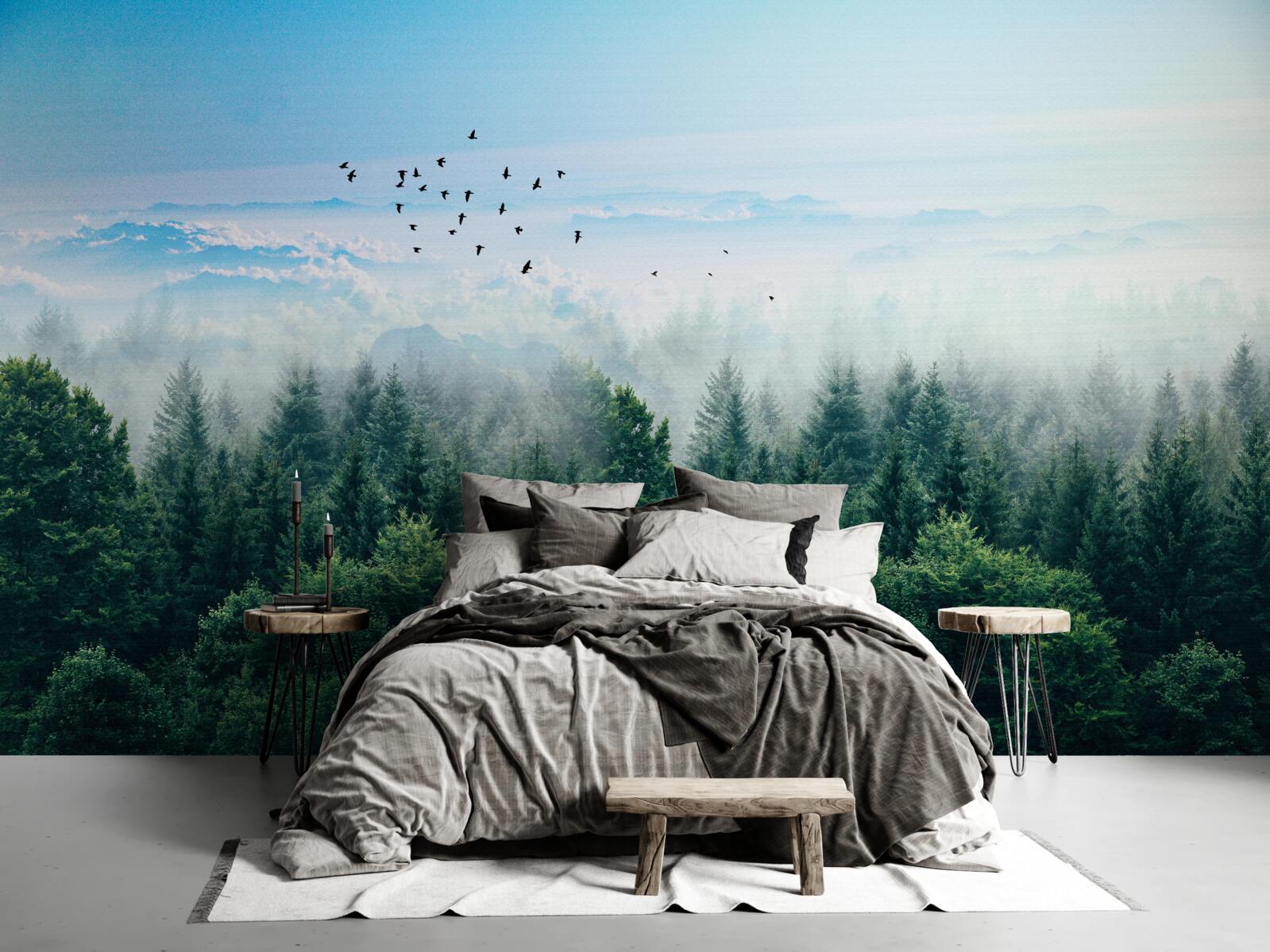 Papier peint les oiseaux planent au-dessus des couronnes des géants de la forêt