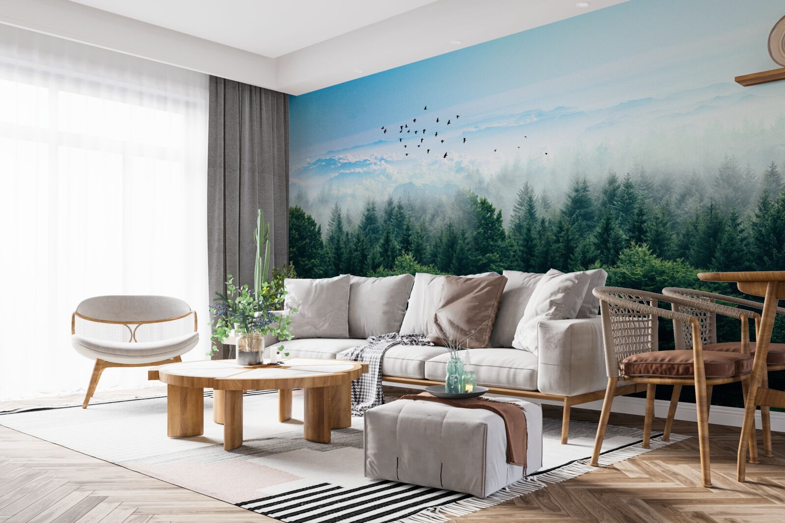 Papier peint les oiseaux planent au-dessus des couronnes des géants de la forêt