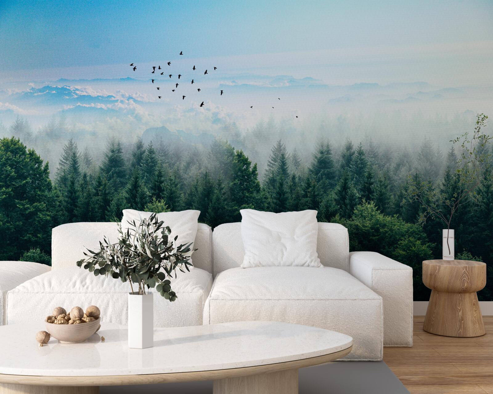 Papier peint les oiseaux planent au-dessus des couronnes des géants de la forêt