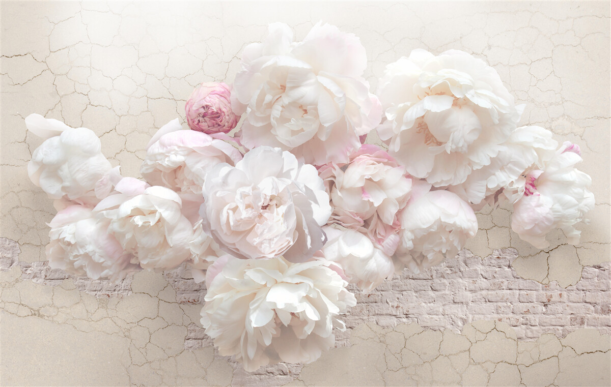 Papier peint pivoines douces en blanc et rose