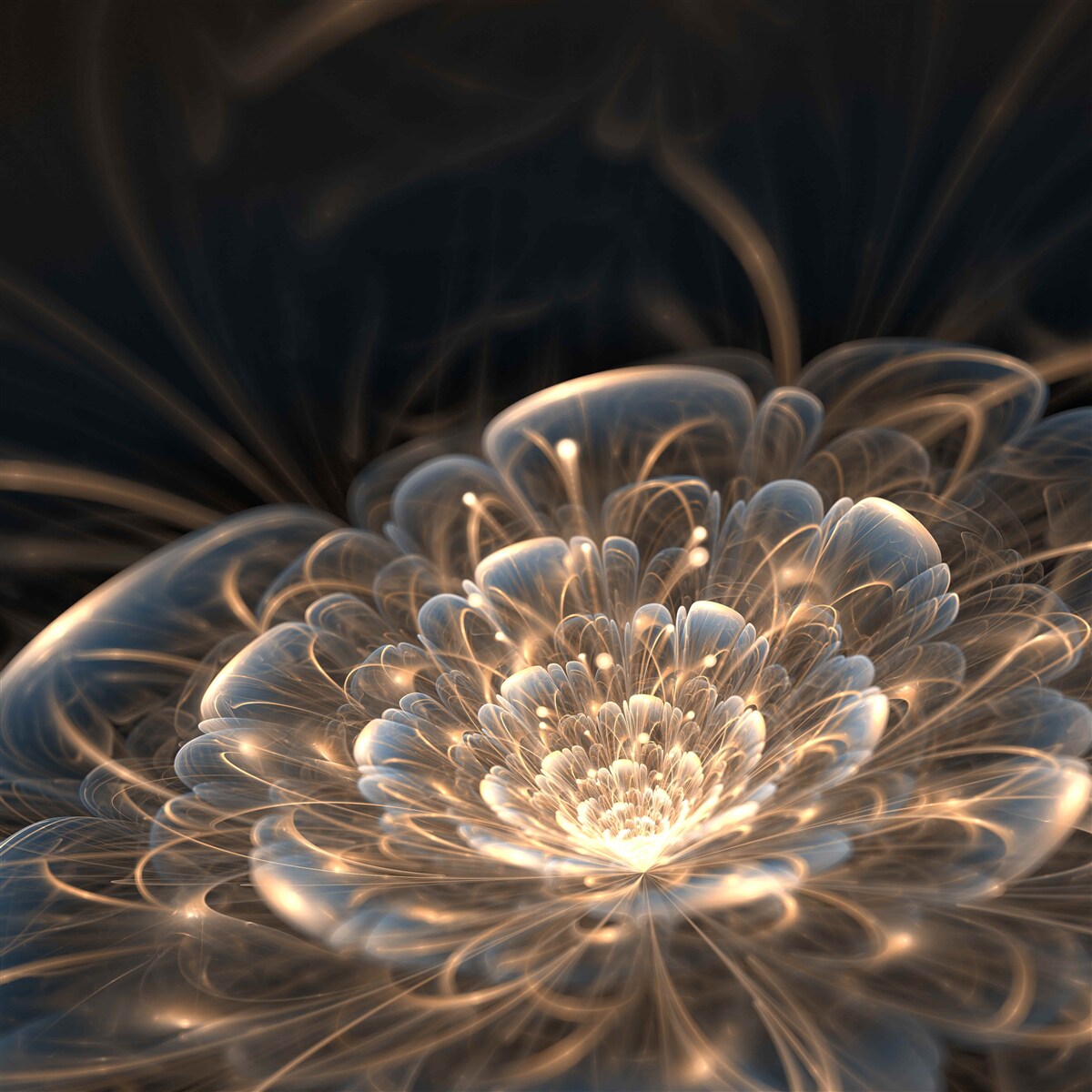 Papier peint grande fleur de lumière