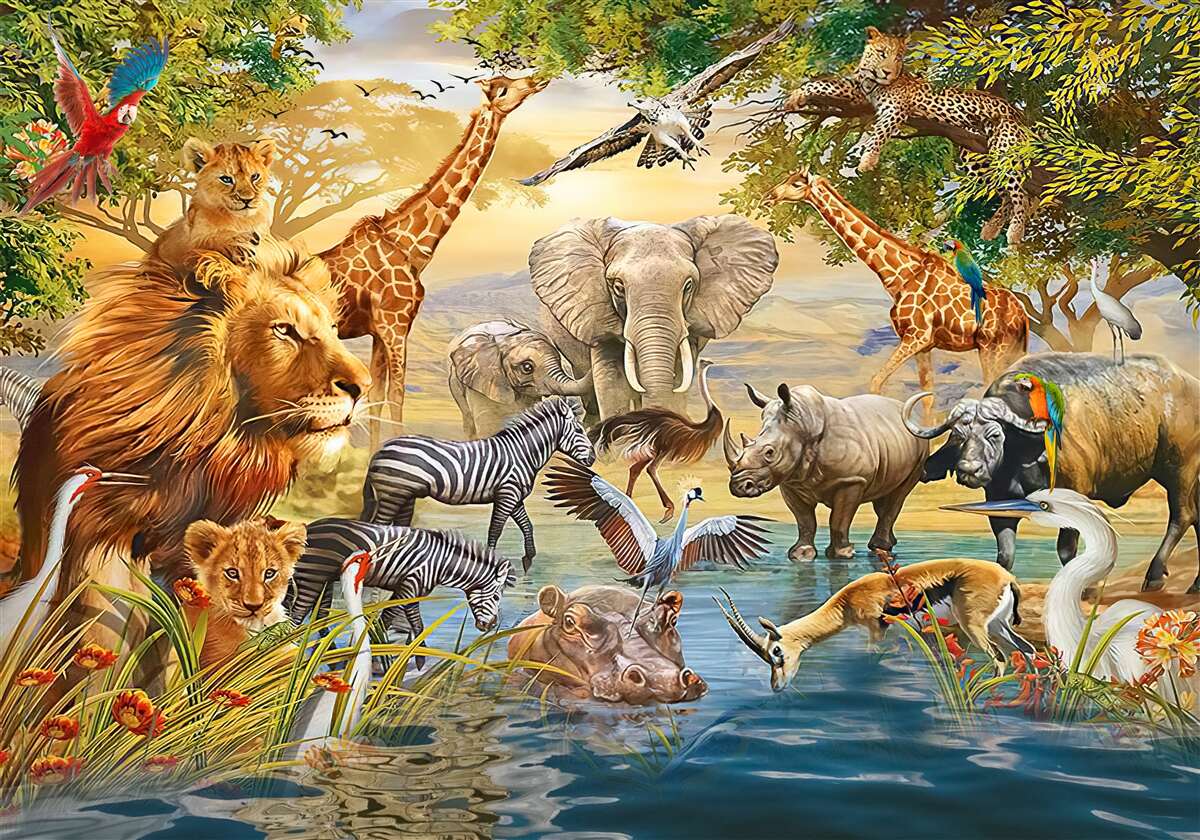 Papier peint animaux d'afrique près de l'étang