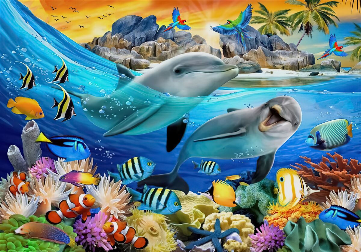 Papier peint les dauphins nagent à la surface de l'eau