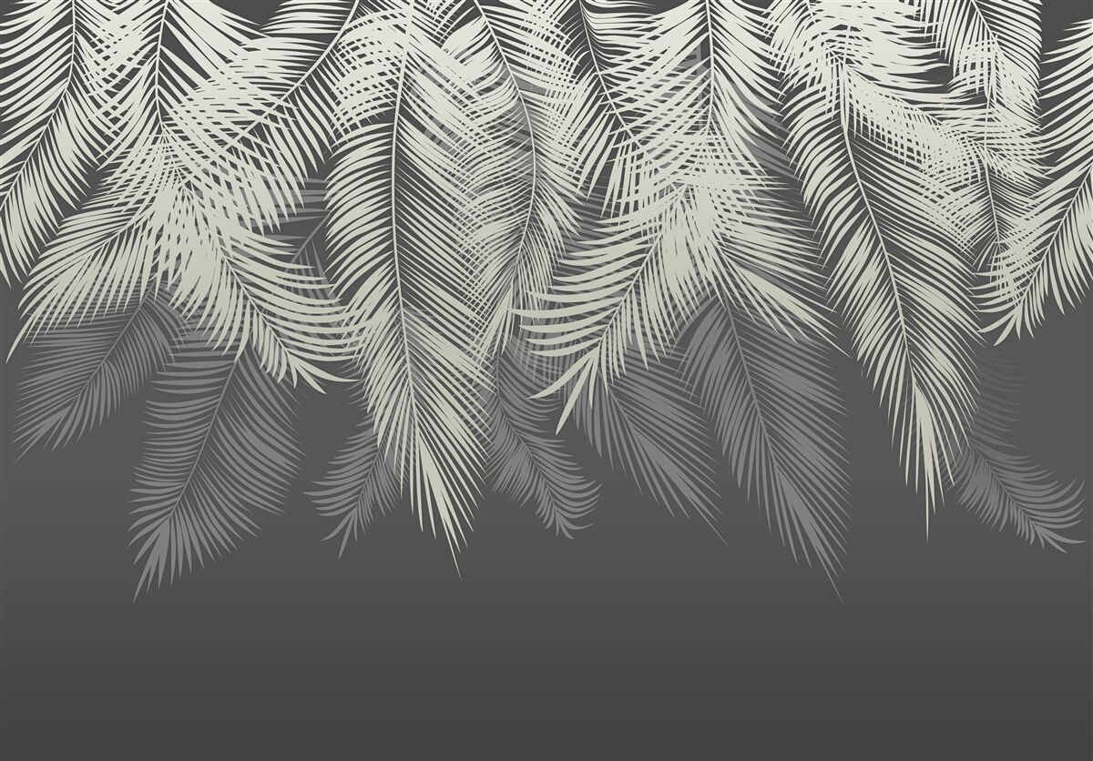 Papier peint la fougère a disparu dans l'obscurité de la nuit