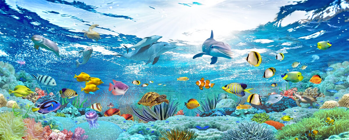 Papier peint Le monde sous l'eau en profondeur