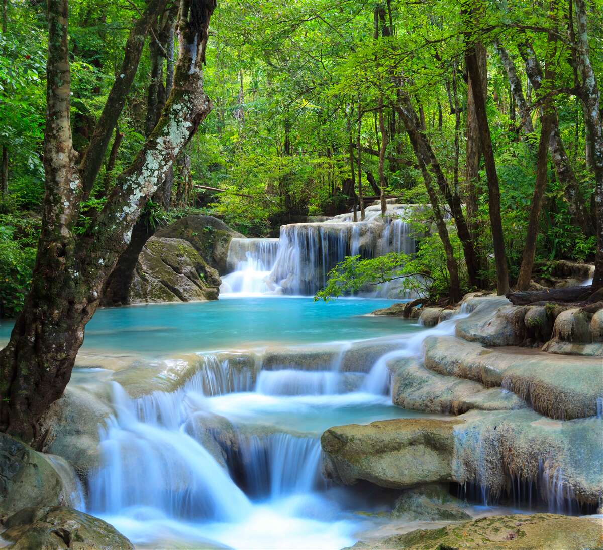 Papier peint les eaux de la cascade de la forêt sont claires et bleues