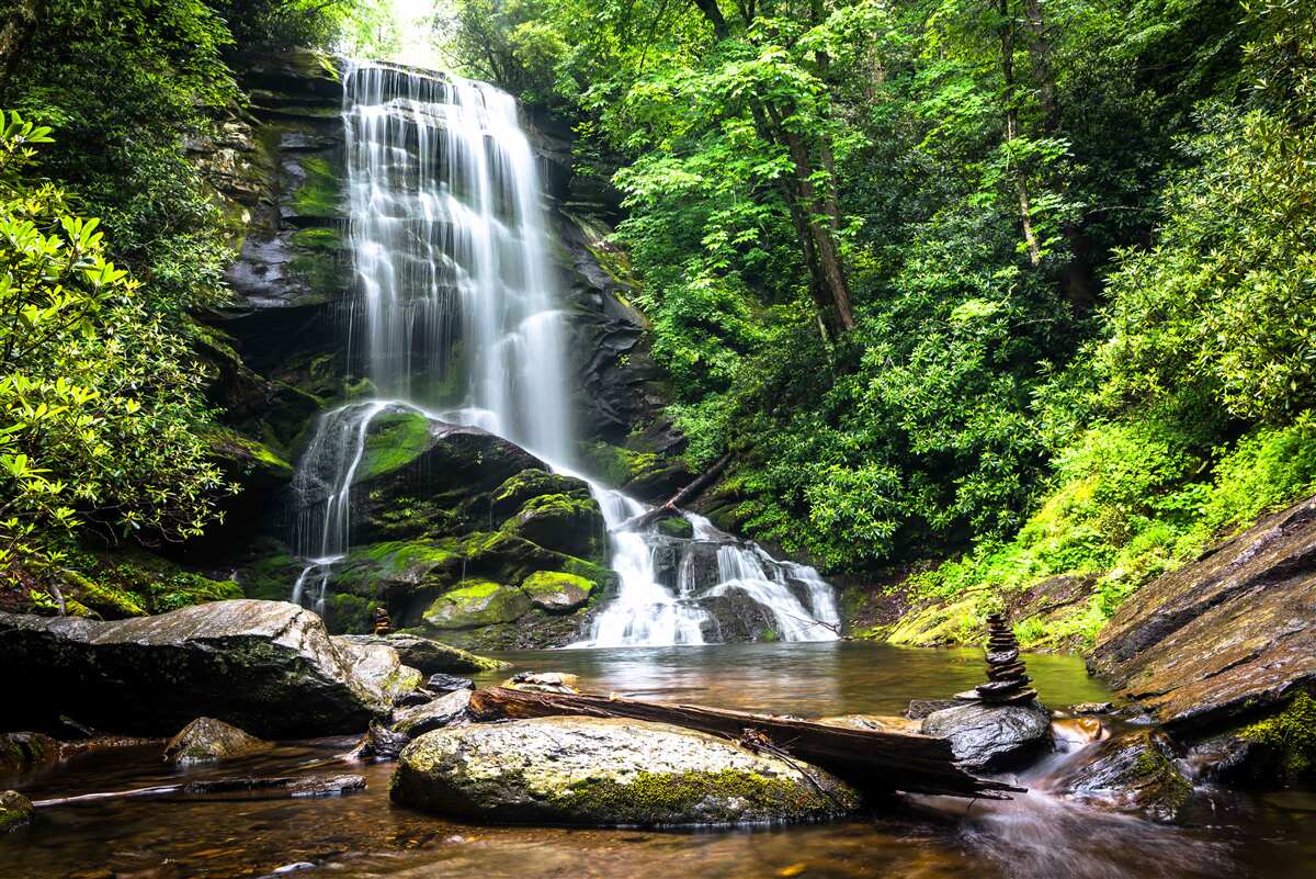 Papier peint les eaux de la cascade de la montagne tombent rapidement dans la forêt